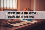 IMsports-足球技术培训课程受欢迎，足球梦想点燃青年热情
