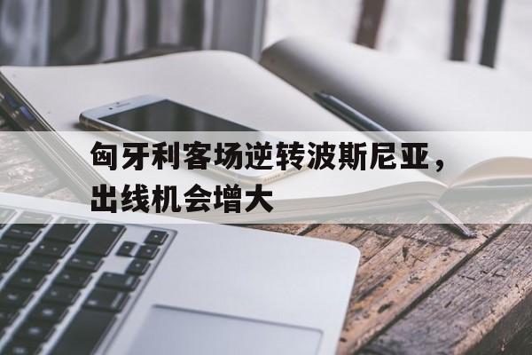 匈牙利客场逆转波斯尼亚，出线机会增大